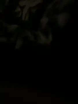 Snapshot of salma74779 chatting on 03-20-25, 11:45 salma74779 online show from 03-20-25, 11:45