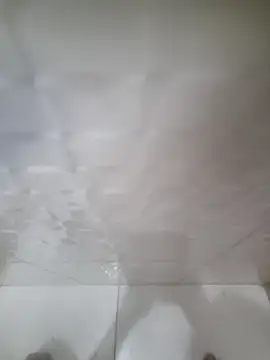 Snapshot of allisonbr chatting on 02-20-26, 08:27 allisonbr online show from 02-20-26, 08:27