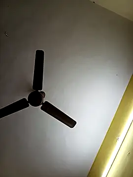 Thamarai28 online show from 03-05-26, 12:40