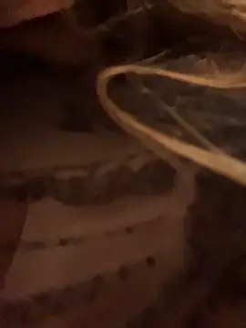 aurora coldd online show from 04-11-26, 09:29