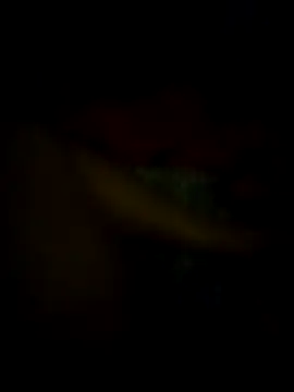 jonzzvergs online show from 02-09-25, 12:30