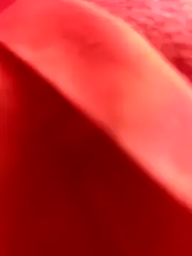 Nahuel141414 online show from 02-25-26, 11:10