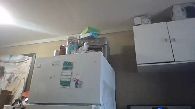 birdg online show from 03-02-26, 02:46