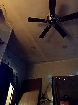 birdg online show from 10-31-25, 03:41