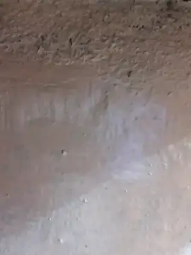 Snapshot of Lizza_boudi chatting on 02-24-25, 04:15 Lizza boudi online show from 02-24-25, 04:15