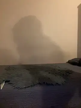 Budibudi5 online show from 11-19-25, 04:56