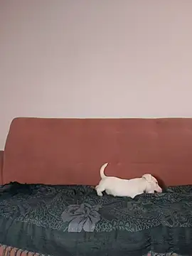 Jehan Soto online show from 09-09-25, 05:11