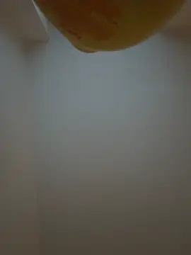 Bleueyez007 online show from 02-10-26, 04:28