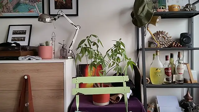 MikymikeBBWD online show from 11-12-25, 11:47