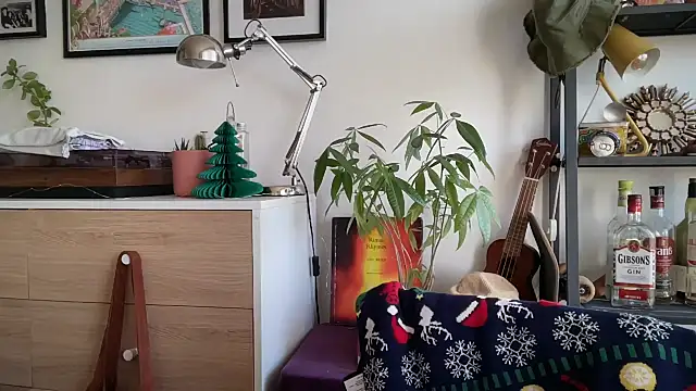 MikymikeBBWD online show from 12-16-25, 11:25