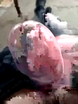 mar4oto1 online show from 03-14-26, 11:38