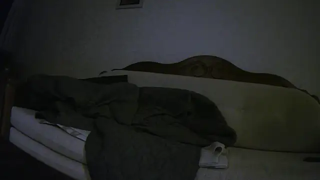 Teemu online show from 03-19-26, 02:33