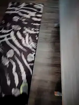 Snapshot of Teemu chatting on 03-11-25, 03:45 Teemu online show from 03-11-25, 03:45