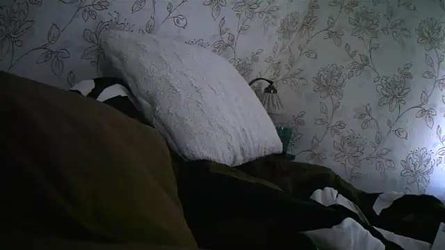 Snapshot of Teemu chatting on 09-27-25, 02:34 Teemu online show from 09-27-25, 02:34