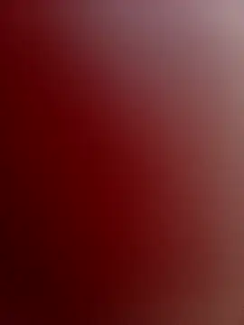 PinkMagic online show from 12-21-25, 04:08