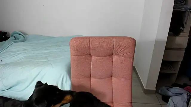 Greciaruiz  online show from 02-11-26, 11:26