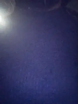 PPP 25 online show from 11-04-25, 07:50