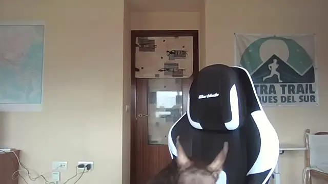 llopaco online show from 04-12-26, 09:01