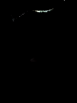 Loly2025 online show from 03-21-26, 12:09