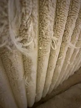 tiago499 online show from 02-07-26, 05:10