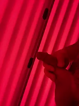 plaintreebull online show from 01-10-26, 07:42