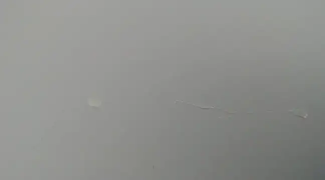 CamiloBeltran  online show from 03-02-25, 10:23