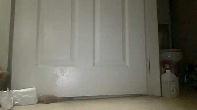 icedcoffeex online show from 04-16-26, 09:39