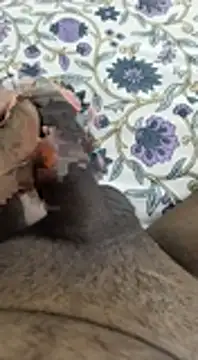 desi pb02 online show from 11-06-25, 04:16