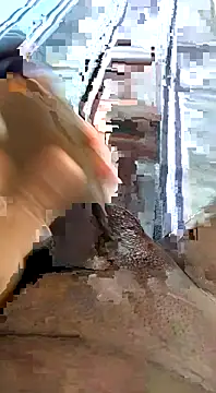 desi pb02 online show from 11-11-25, 04:29