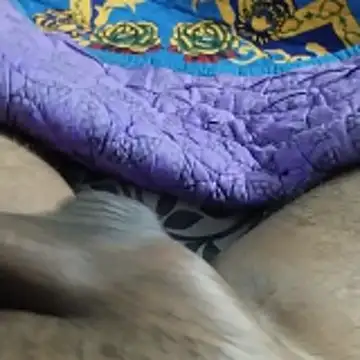 desi pb02 online show from 11-22-25, 07:24