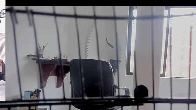 afroditacute15 online show from 09-20-25, 03:39