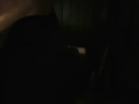 PreetyKitten online show from 12-16-25, 03:38