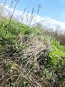 VickyDevilEU online show from 04-15-26, 01:48