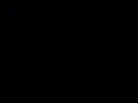 Holatpngo online show from 11-09-25, 03:10