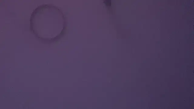 Bloody Diamond online show from 07-14-26, 01:50