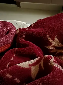 Snapshot of RealcoupleP chatting on 11-25-25, 12:05 RealcoupleP online show from 11-25-25, 12:05