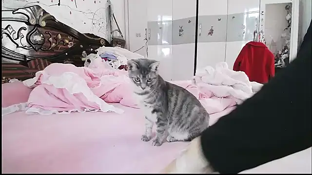 hebe-02 online show from 11-05-25, 02:14