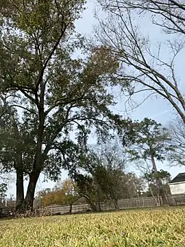 HTXBELLE online show from 12-16-25, 05:06