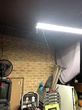 HTXBELLE online show from 02-13-26, 10:15