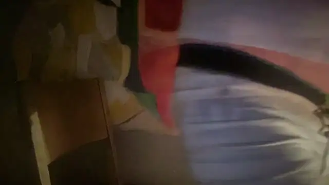 DominantDong online show from 02-07-26, 08:11