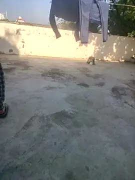 indian couple4 online show from 12-16-25, 09:02