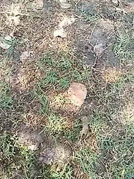 bairobunde online show from 04-05-26, 08:10