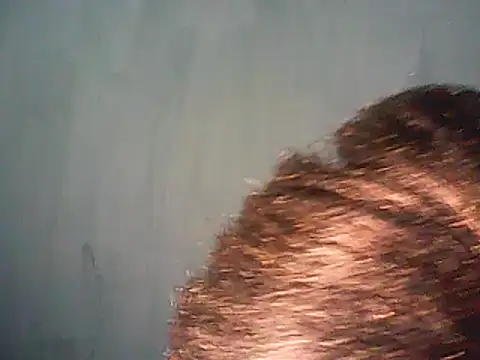 perfectionist online show from 03-08-25, 09:08