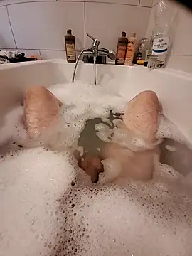 Jerome2312 online show from 04-10-26, 12:45