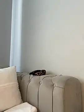 Snapshot of laraaaaaa chatting on 02-12-26, 07:41 laraaaaaa online show from 02-12-26, 07:41