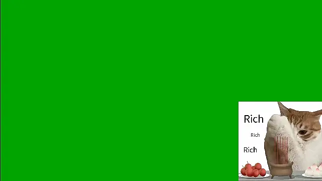 Snapshot of CC-777888 chatting on 08-01-26, 02:48 CC-777888 online show from 08-01-26, 02:48