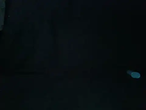 Snapshot of BibicaBibica1 chatting on 02-21-25, 01:11 BibicaBibica1 online show from 02-21-25, 01:11