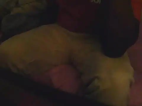 Fuckmehardandcloudy online show from 03-21-26, 08:46