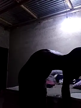 lilpip online show from 02-12-26, 07:13