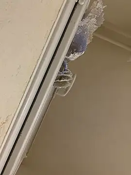 daniel21p online show from 03-10-25, 06:34